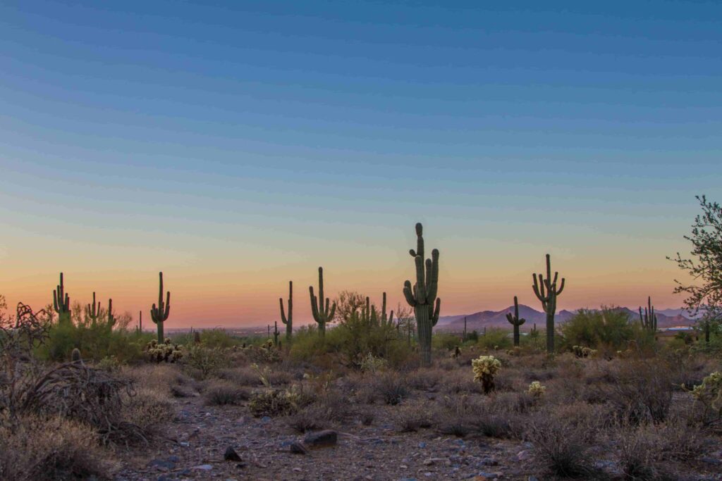We want Arizona newcomers to few welcome. The image of McDowell Sonoran Preserve Gateway Trailhead, Scottsdale during sunset is splendid.
