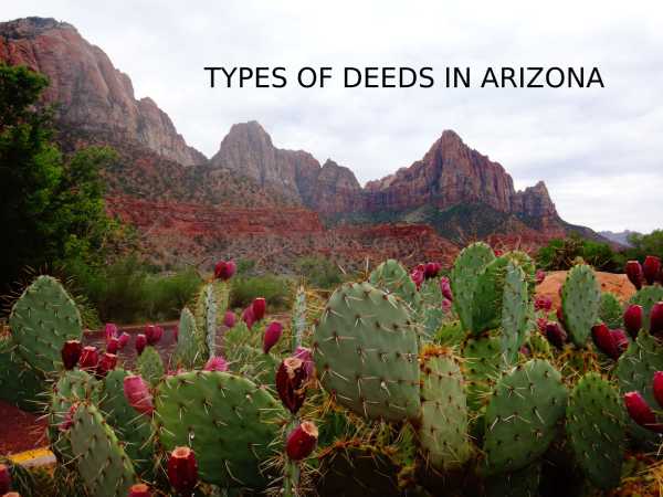 Types of Deeds in Arizona | Estate Planning Lawyer | Citadel Law Firm
