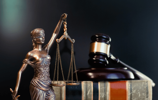 elderly law
